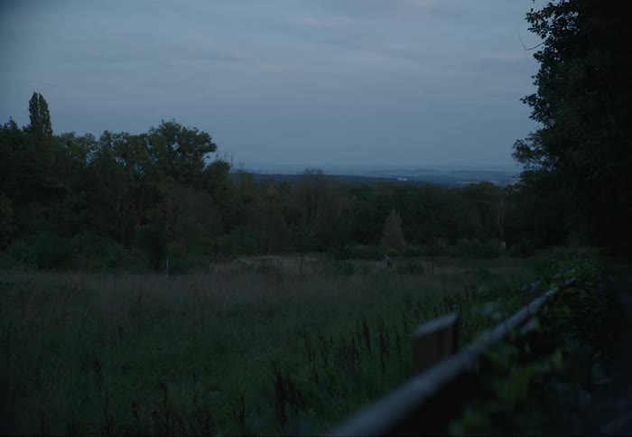 A person in a large field of tall grass with some trees around it on a late afternoon