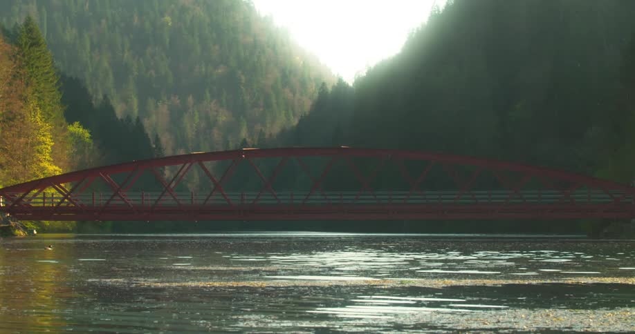 Landscape of a red bridge above the sea in an environment surrounded by mountains with a coniferous forest