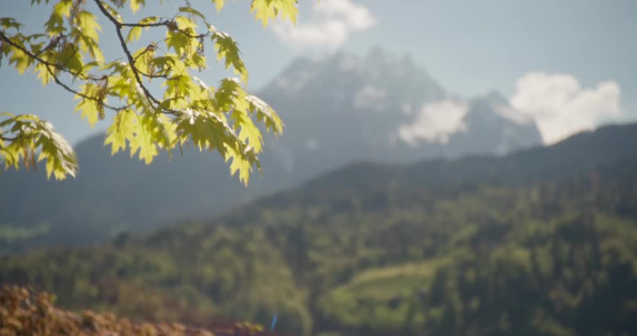 A small branch full of leaves from a tree on the left side and in the background there is a distant landscape of mountains