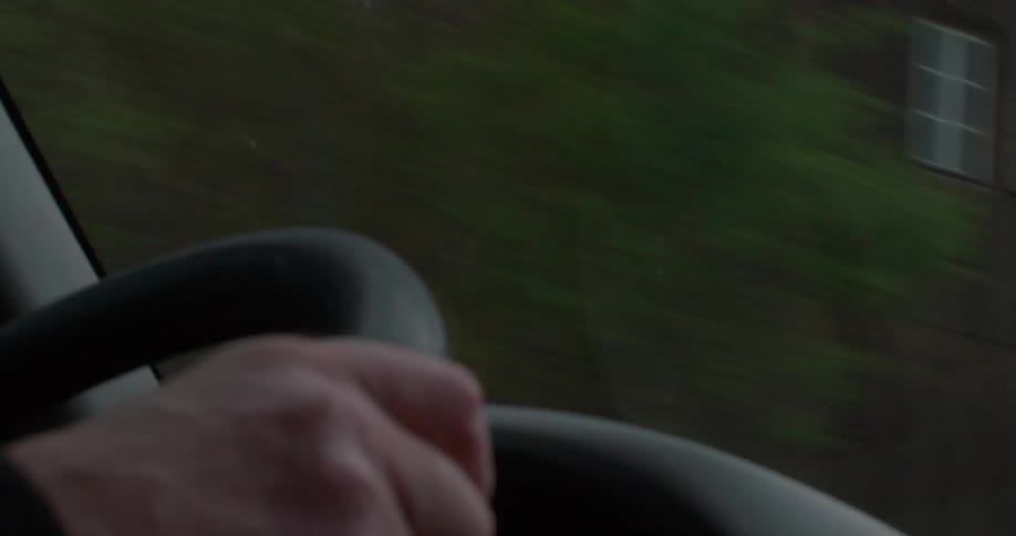 A person is driving past the homes and trees