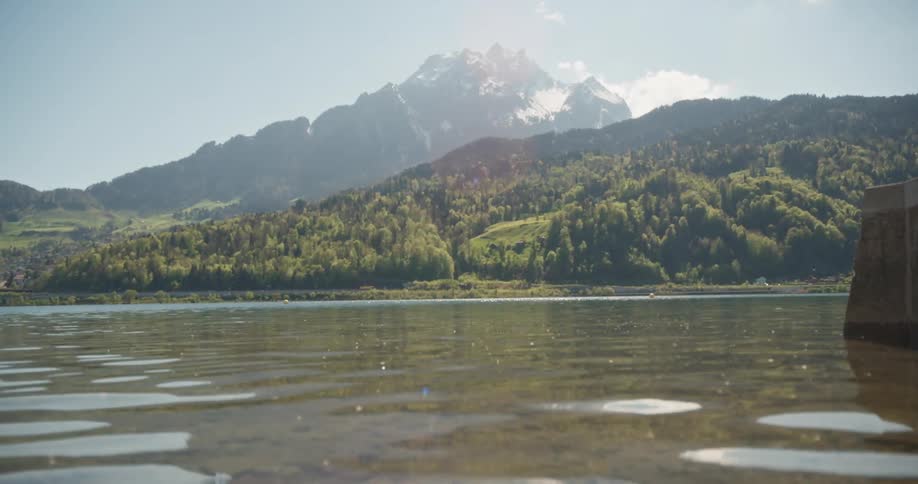 A lake is before the forest and mountains