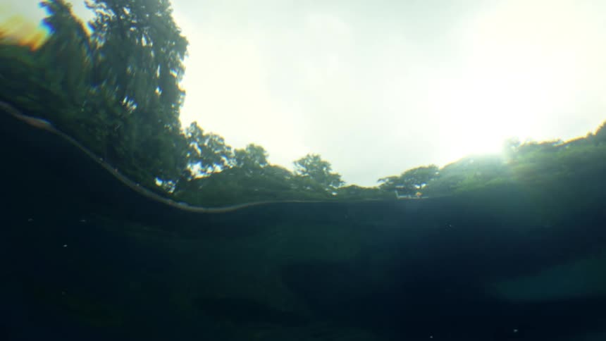 Sunlight refracts through water revealing a treeline beyond