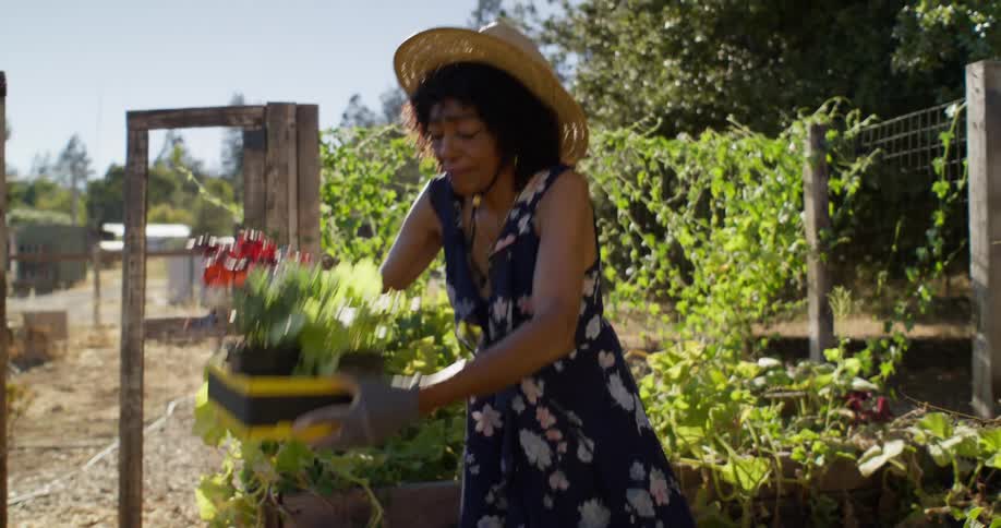 A woman wearing a straw hat and a floral dress is carrying a box with red flowers while walking through a garden gate surrounded by lush green plants and raised garden beds