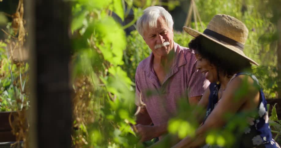 Elderly couple together in a vegetable garden