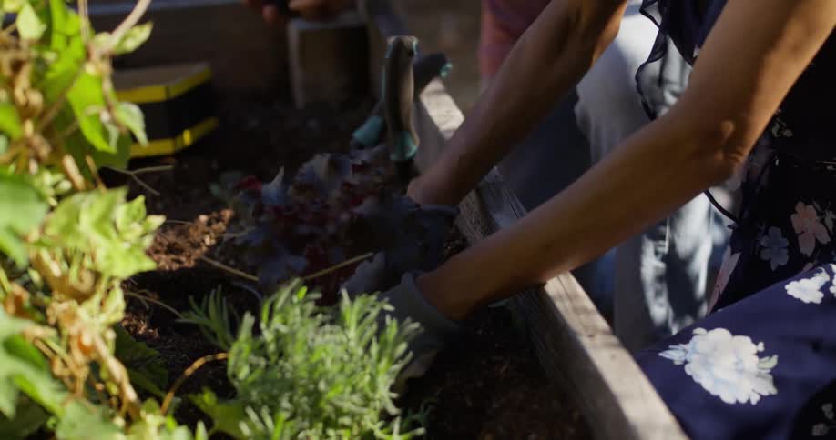 A couple wearing gloves are working in a garden planting herbs