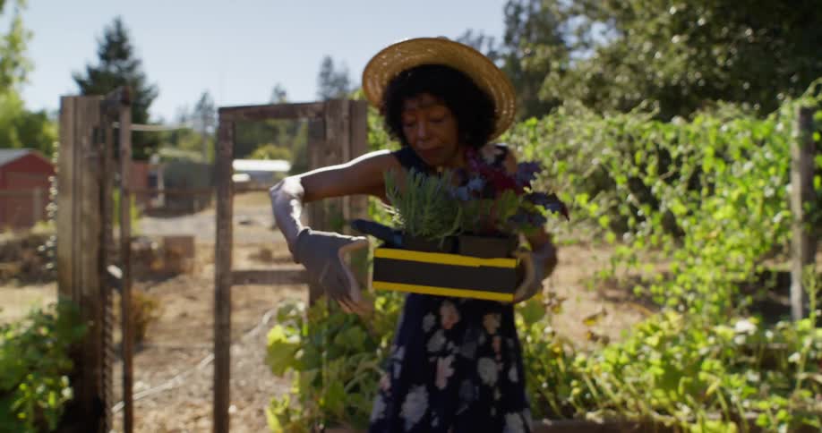Woman with a basket of vegetables walking through a vegetable garden