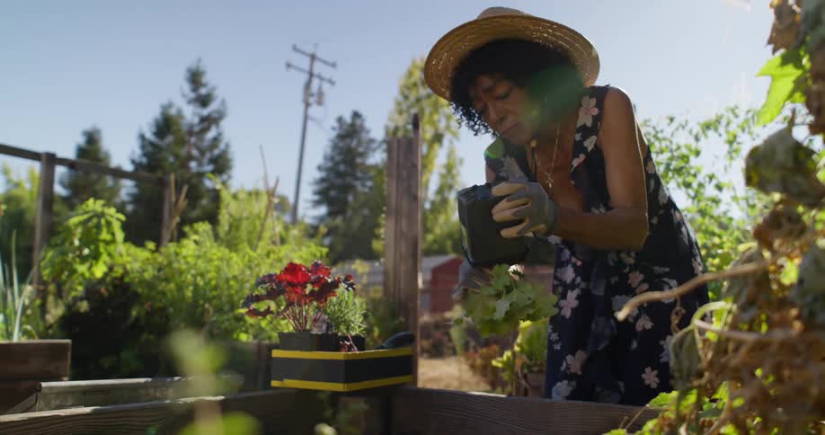 A woman wearing a floral dress and a straw hat is gardening in the morning