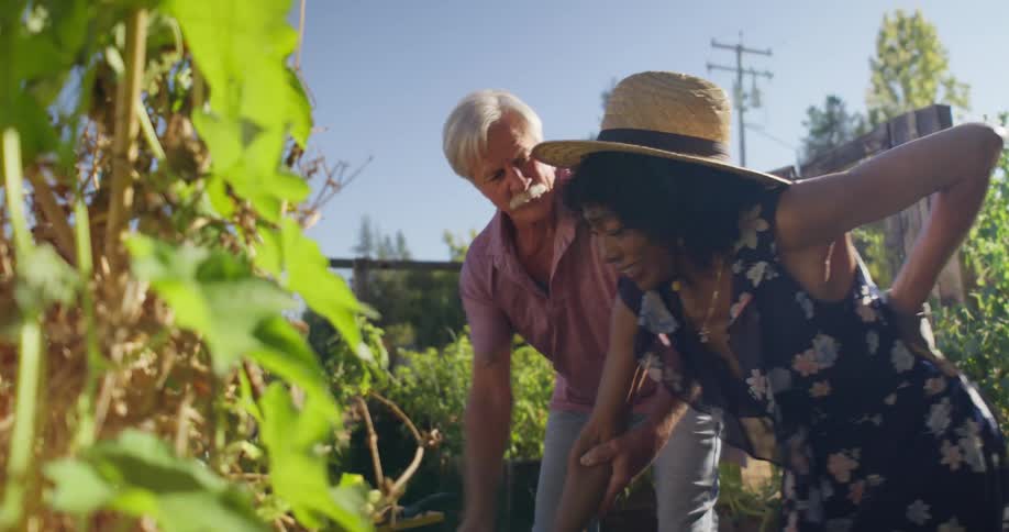 Man and a lady in a vegetable garden standing together