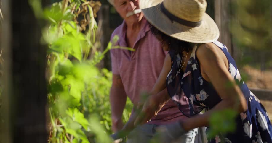 Couple in a vegetable garden standing up together