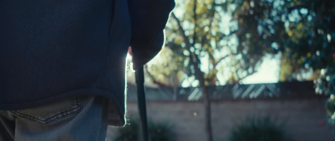 A person with their back turned is walking with the help of a cane