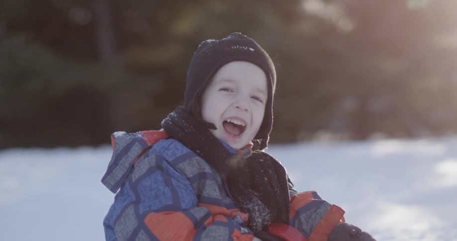 A little box is laughing looking at the camera in the middle of a snow covered field