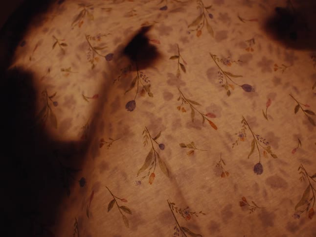 Two shadowy figures under a blanket their hands moving tracing patterns