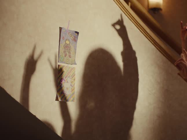 A clip of a ladys shadow