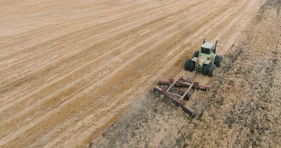 A tractor tills a field of dry crops