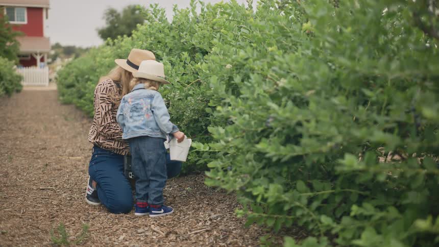 Mother with her little daughter in a vegetable garden with fruit plantation holding a small white box