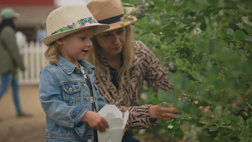 Mother with her little daughter holding a box and picking fruits