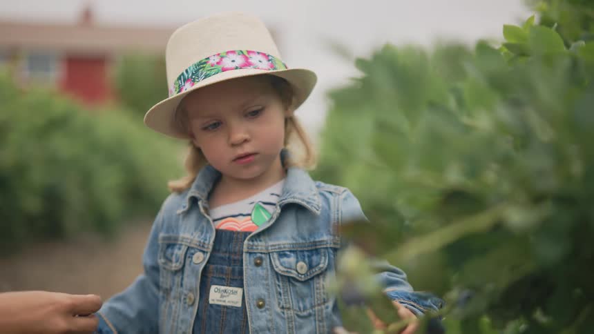 Little girl in a sun hat in the middle of a vegetable garden