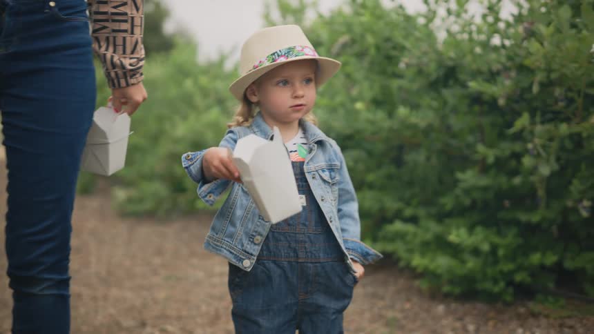 A young girl walks down a path in a blueberry farm with a woman