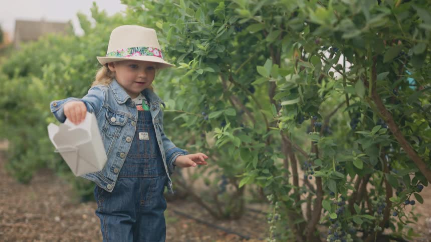 A little blonde girl with a white hat walking and holding an object in her right hand
