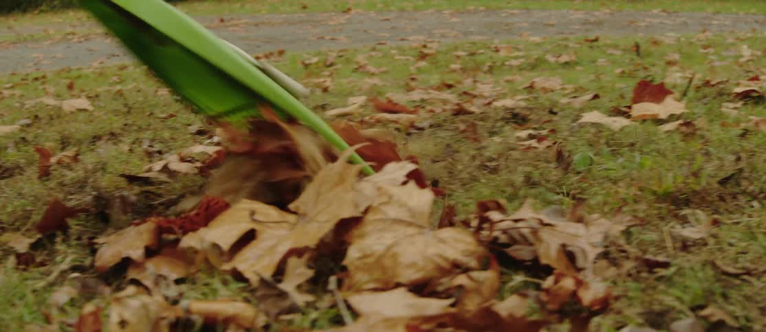 A rake scoops leaves
