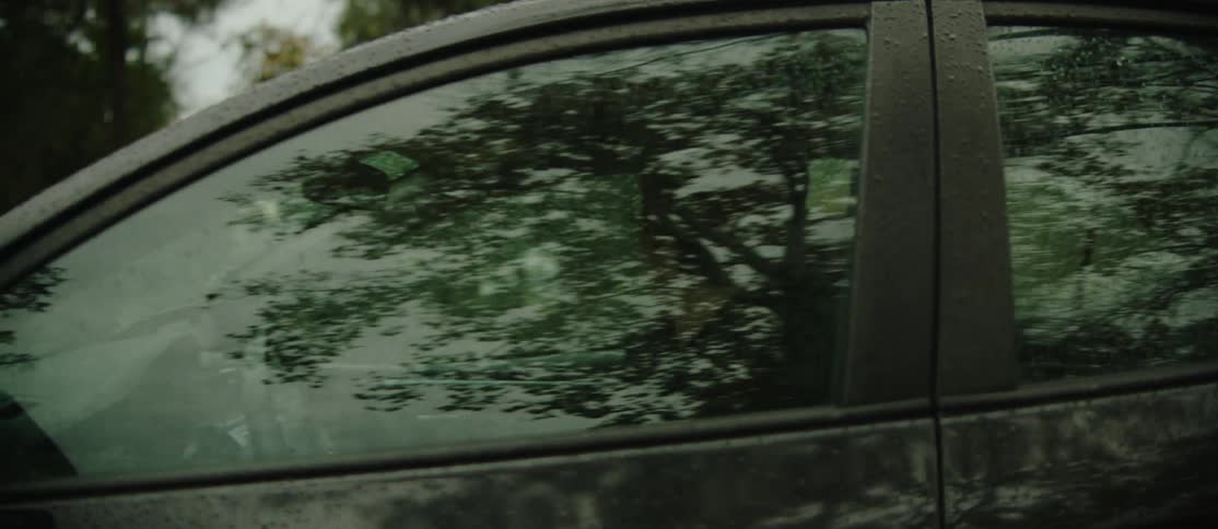 A black car with rain droplets on its surface is parking outdoors surrounded by trees with autumn foliage