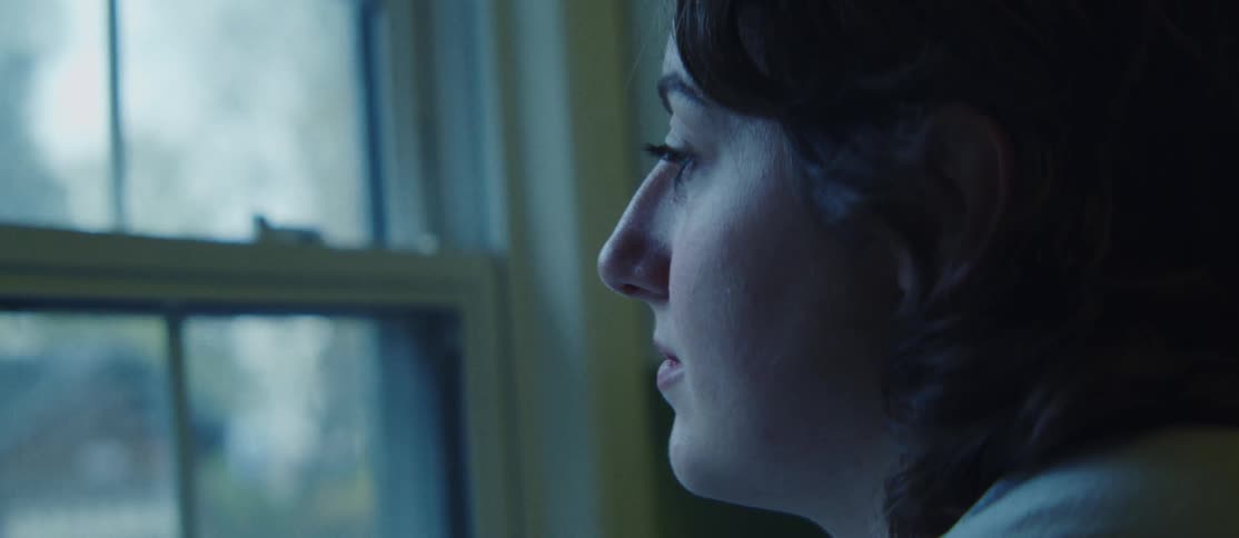 Side profile of a woman with wavy brown hair gazing pensively out of a window with soft bluish light casting a contemplative and melancholic mood