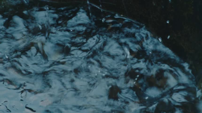 Closeup of rain creating ripples and bubbles on the surface of water