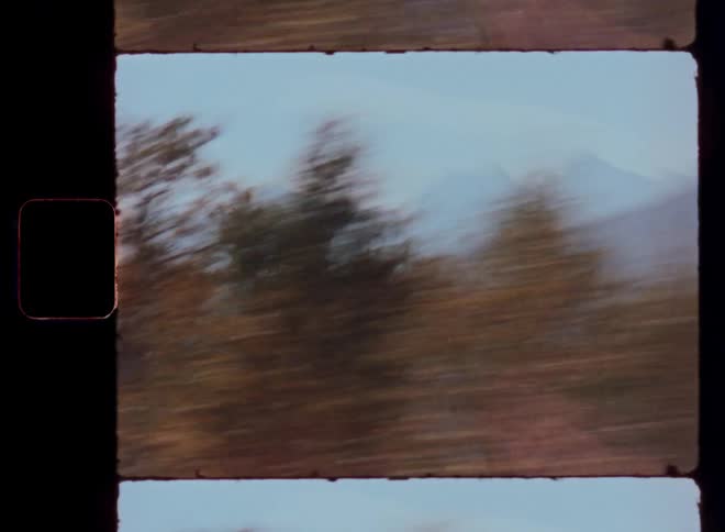 A scenic landscape with snowcapped mountains in the distance blurry trees in the foreground and a lake in the middle