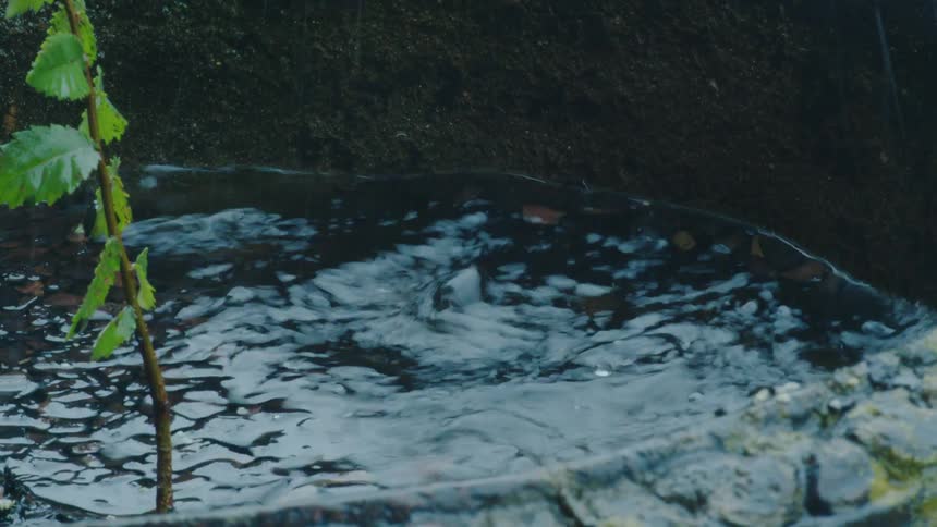 Drops falling into a well of water