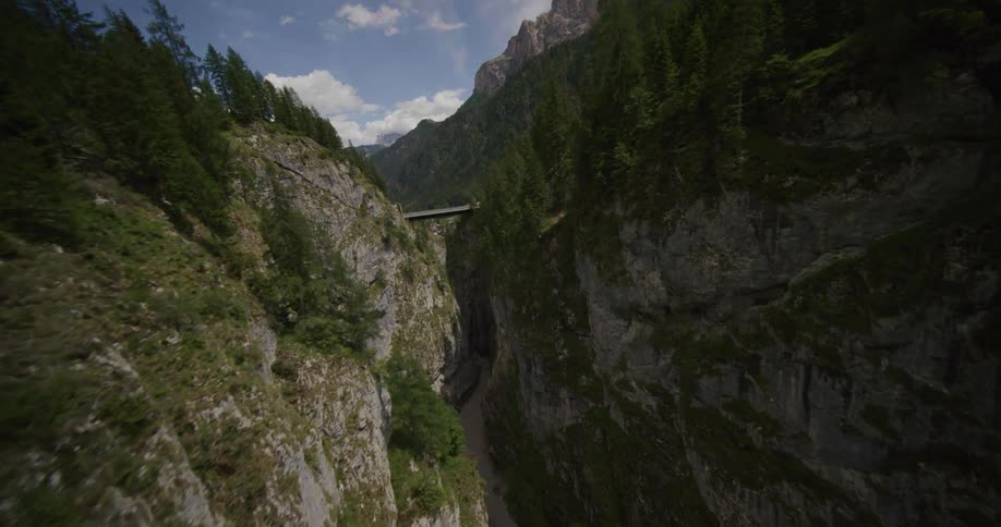An aerial view of a highway and in front there is a huge pine forest on the sides of a valley between slopes