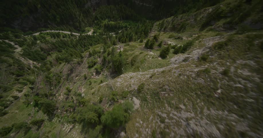 An aerial view from the peak of a mountain to the base of it where there is a pine forest