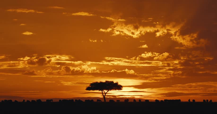 The sun is rising on the landscape