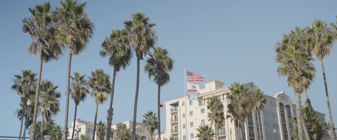White building with national flags and palm trees in the foreground