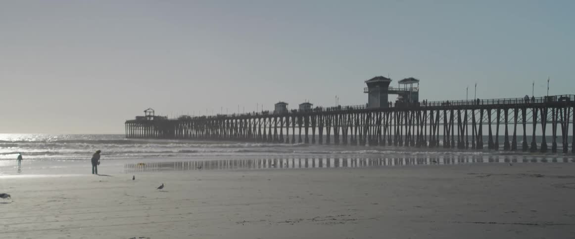 Landscape of a beach with a pier in the background and people walking