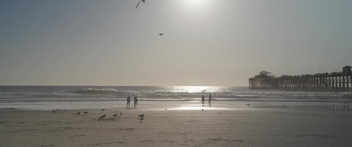 Some people on the beach sand with birds flying