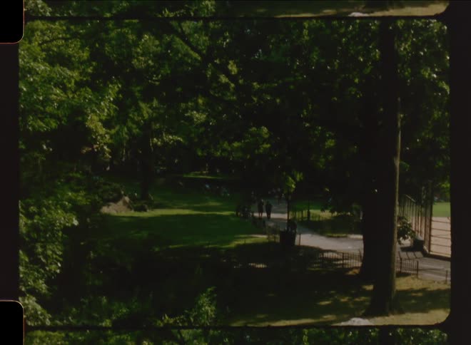 A footage of a park in the city