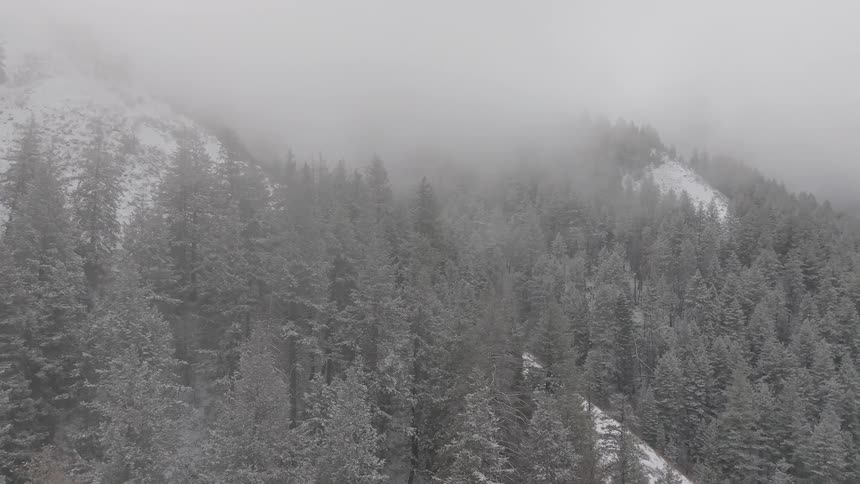 A snow dusted forest is viewed from above shrouded in mist
