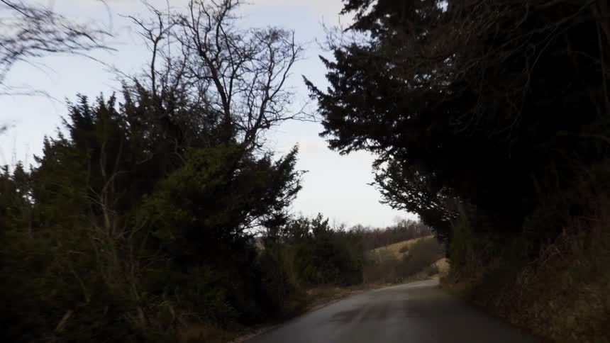 A vehicle drives down a narrow paved road that curves through a wooded area