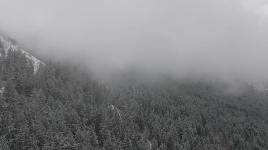 An aerial view of a foggy forest blanketing a snow covered mountain slope