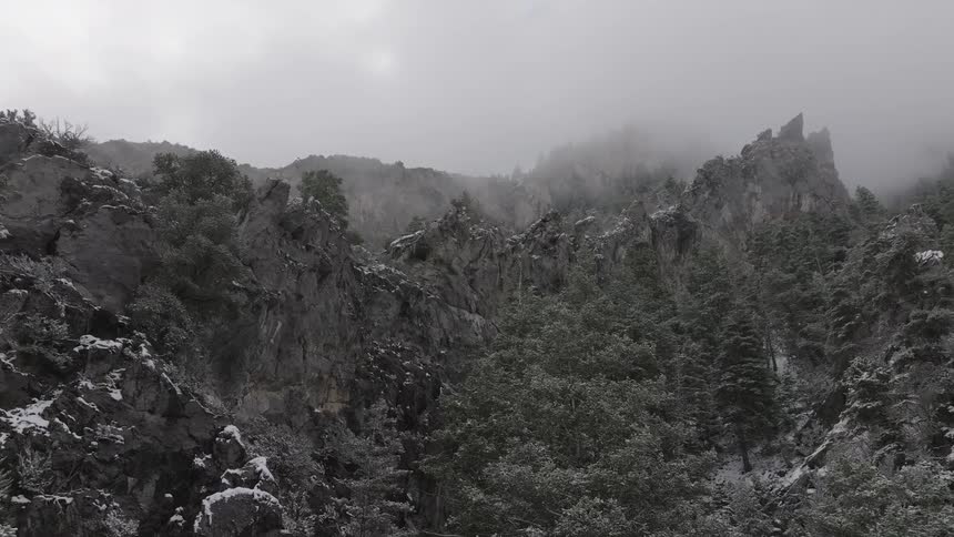 Aerial view of a mountain with trees and dense fog