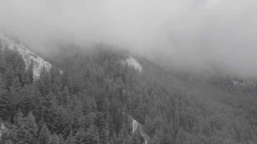 A misty snow covered mountain landscape with a dense forest of evergreen trees