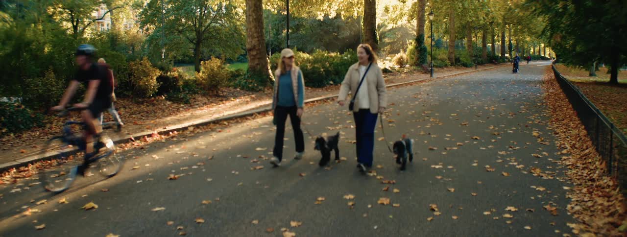 People walking dogs and others riding bikes in a park with trees around