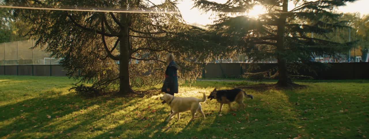 Woman and her two dogs walking across the grass at a park