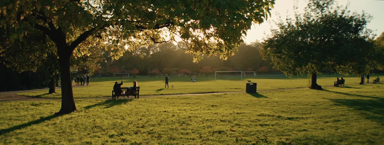 People walking and sitting in a park with grass and trees