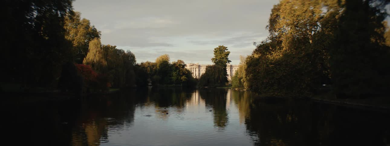 A river surrounded by trees