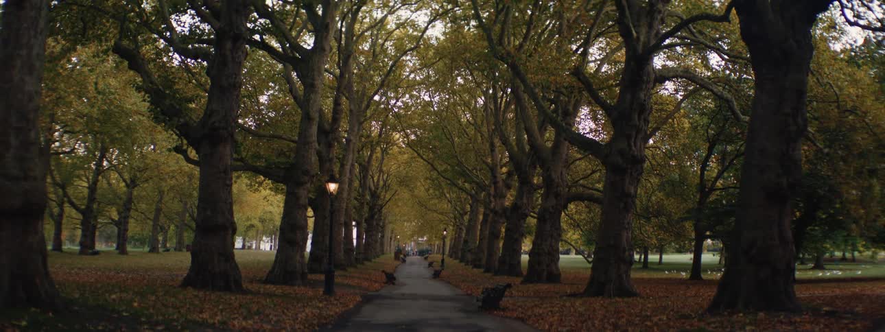 Public square with trees