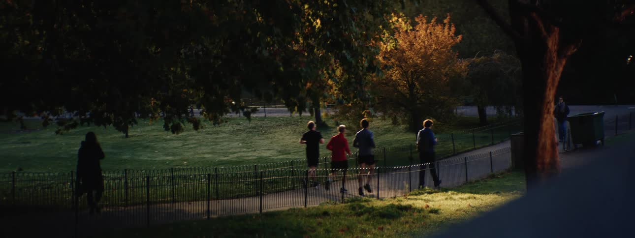 People are jogging on a path in the park