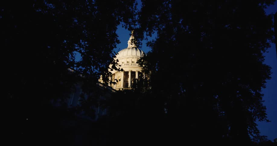 St pauls cathedral peeking through the dark silhouettes of trees