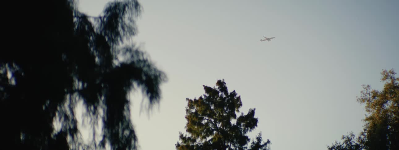 A plane flies high in the sky