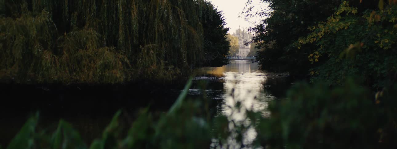 River surrounded by conifers